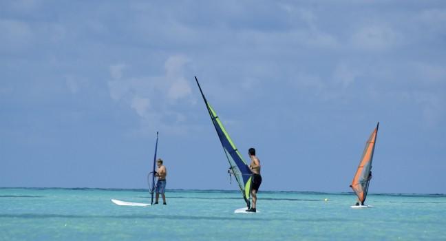 Windsurfers training in the water.