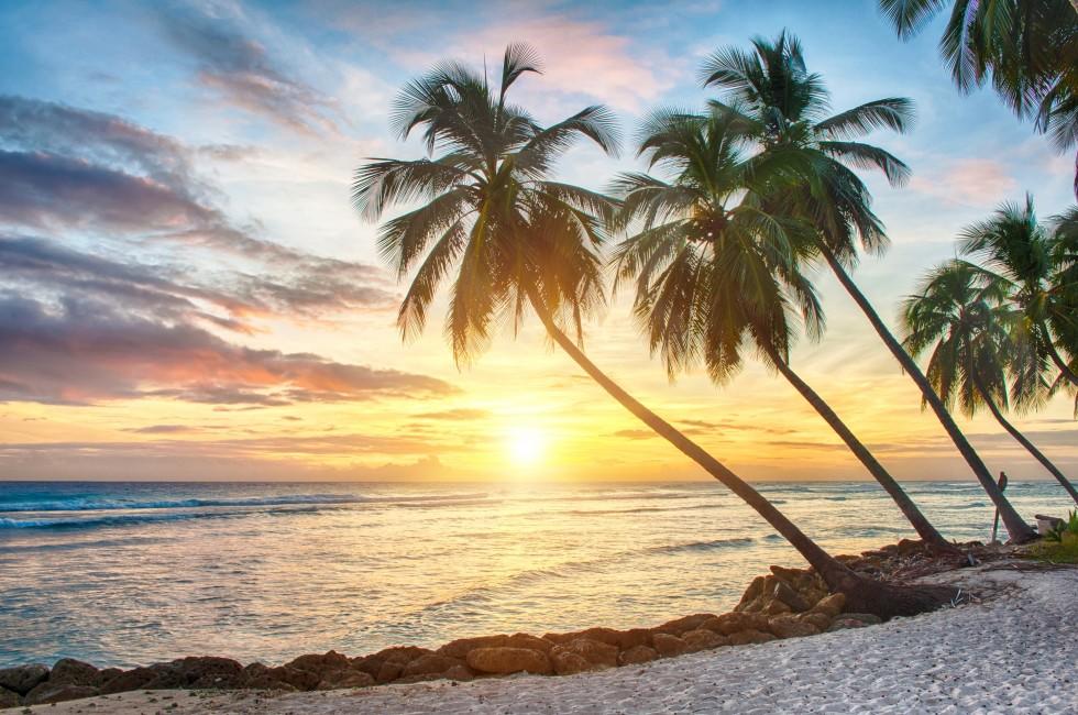 Beautiful sunset over the sea with a view at palms on the white beach on a Caribbean island of Barbados;