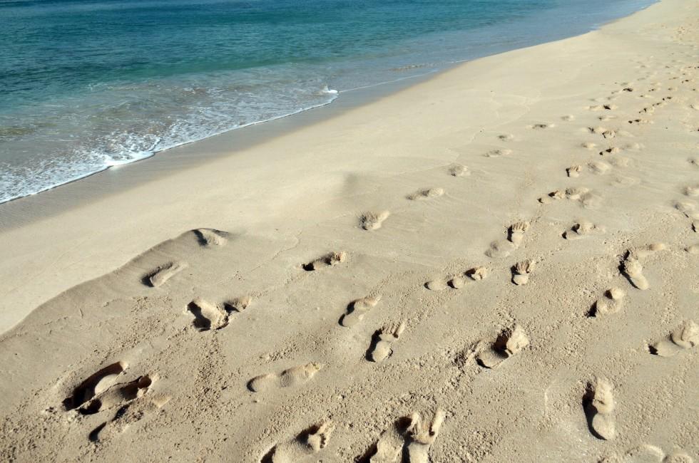 Footsteps in the sand; 