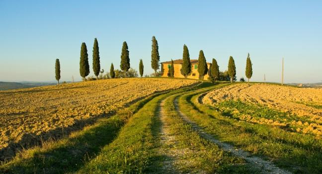 image of typical tuscan landscape; Shutterstock ID 16210528; Project/Title: Fodors; Downloader: Melanie Marin