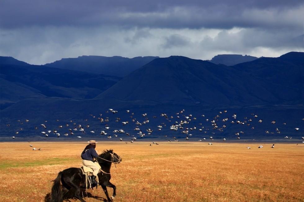 A gaucho riding his horse in Patagonia, 