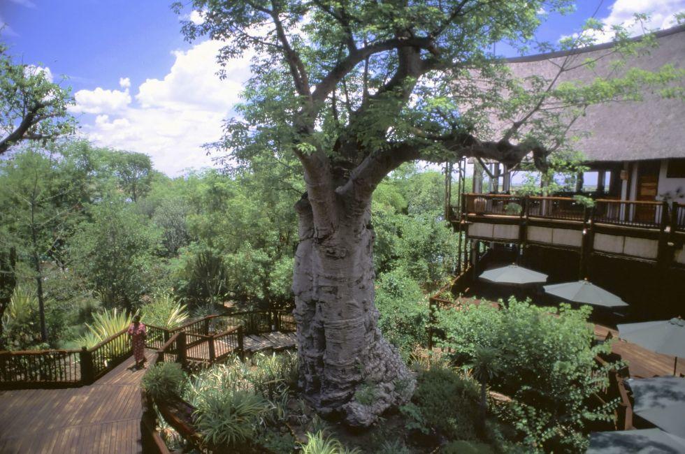 Botswana Game Reserve