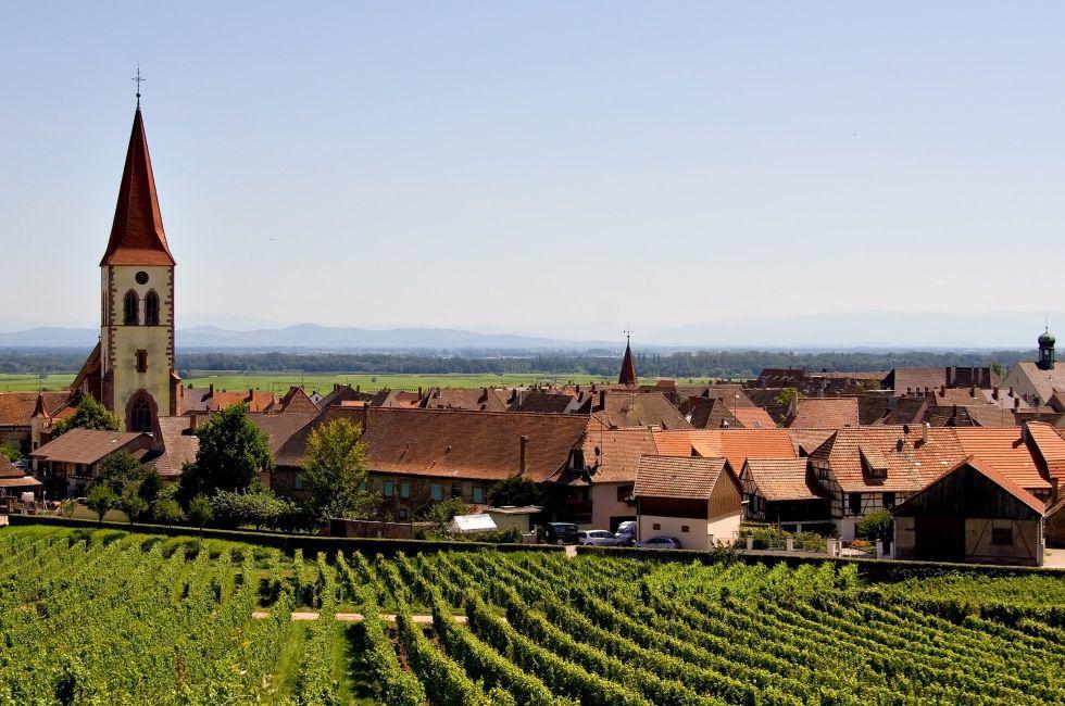 Beautiful Scene of Alsace Wine Road (Ammerschwihr-Kayserberg, France); 