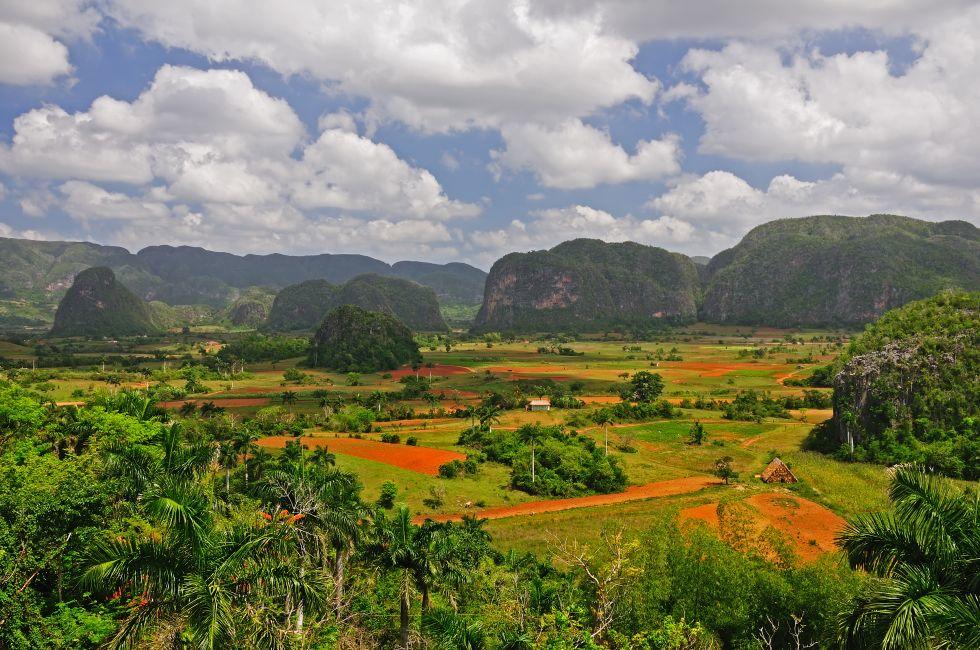 The most beautiful valley of Cuba. Fertile valley surrounded by mogotes. Extraordinary place full of life and color.