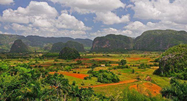 The most beautiful valley of Cuba. Fertile valley surrounded by mogotes. Extraordinary place full of life and color.