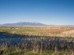 Alamosa National Wildlife Refuge is a great marsh on the Rio Grande, with Blanca Mountain in the background.