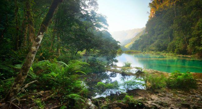 Landscape rain forest National Park in Guatemala Semuc Champey at sunset